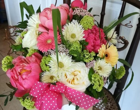 L'Orchidea - Piante e fiori