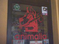Animalia Snc dal 1998