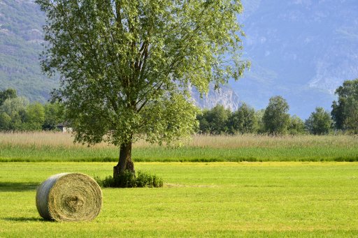 Von der Ortschaft Baletrone nach Cascina Poncetta (Naturweg Nord) 3