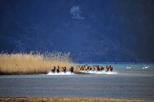 Dalla località Baletrone a Cascina Poncetta (Percorso naturalistico Nord) 5