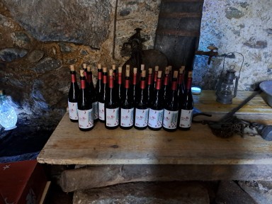 Wine tour in Montemezzo