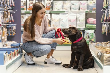 Pet shops