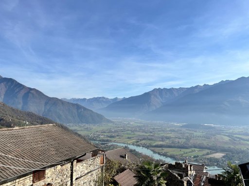 Die Weinrose 9