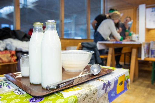 Laboratori didattici in fattoria 6