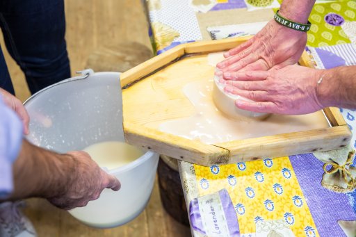 Laboratori didattici in fattoria 10