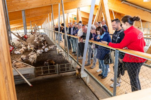Visite guidate in fattoria 2