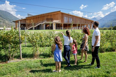 Guided tours of a farm
