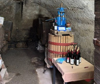 Wine tour in Montemezzo