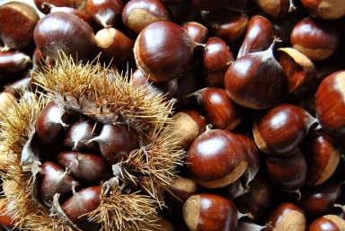 Chestnut Festival - Colico