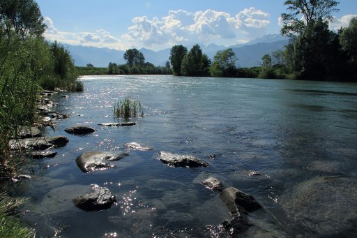 Tour B in Pian di Spagna (Adda river) 4