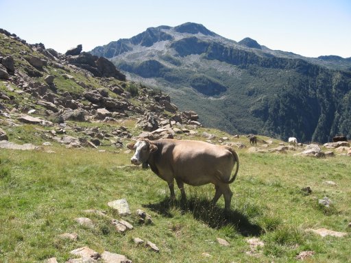 Passo San Jorio 4