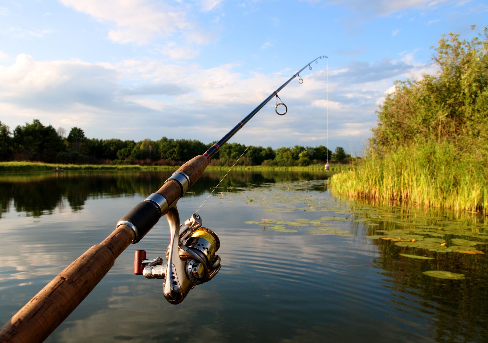 Fishing