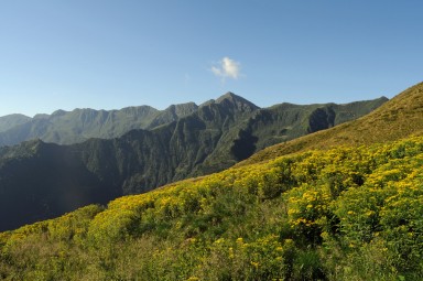 Albano Valley Park