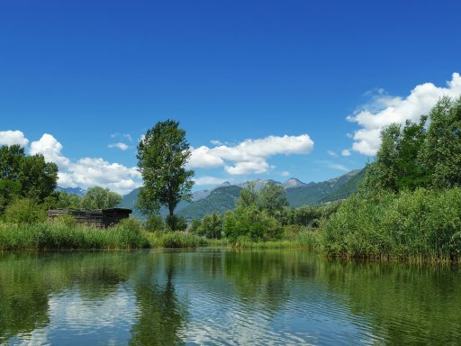 Riserva Naturale Pian di Spagna e Lago di Mezzola  3