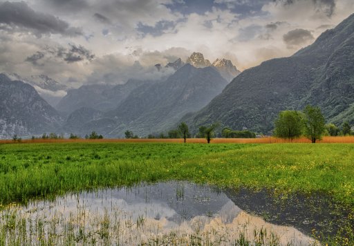 Riserva Naturale Pian di Spagna e Lago di Mezzola  2