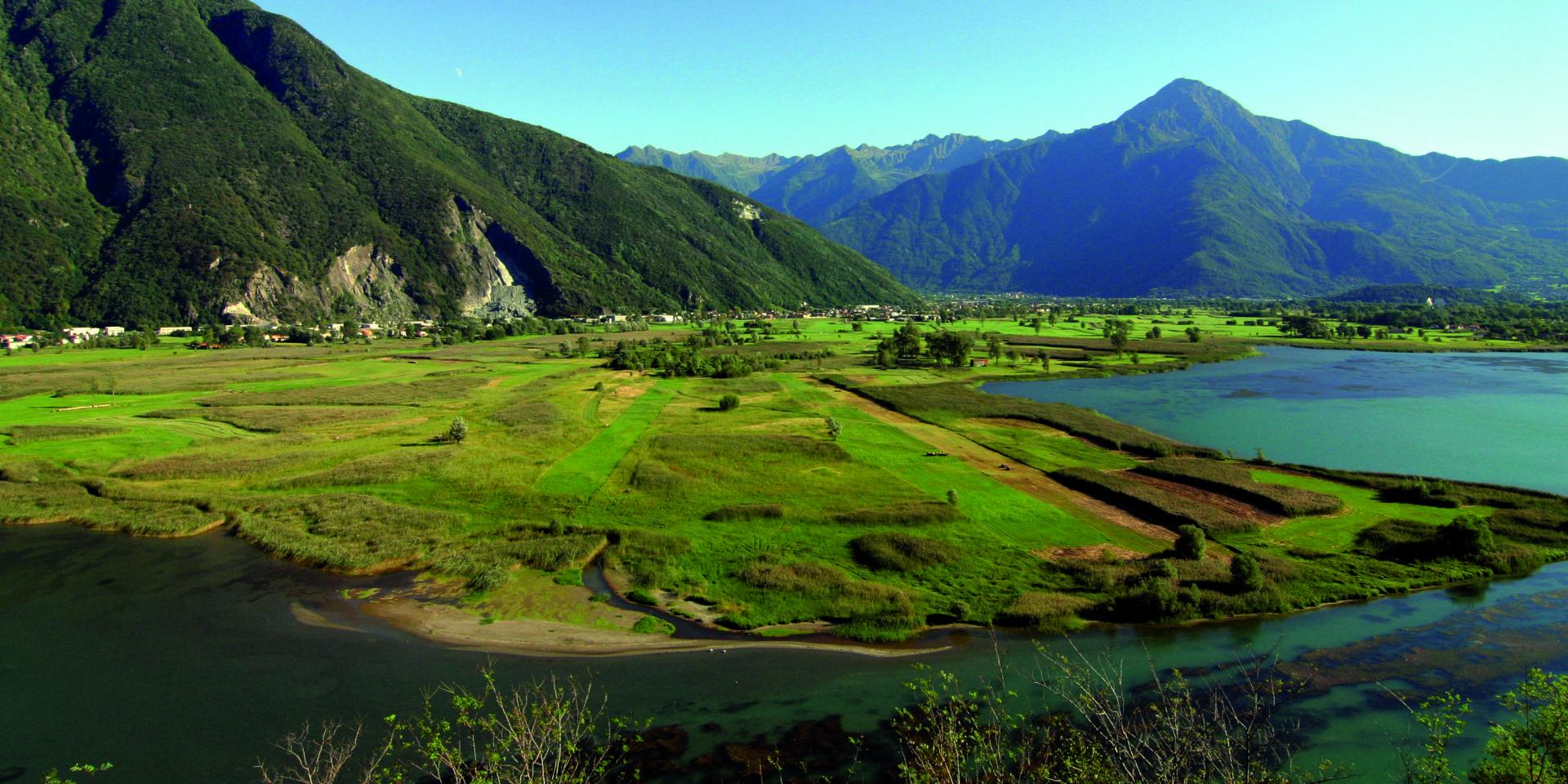 Borradura Personas mayores Alegre Riserva Naturale Pian di Spagna e Lago di Mezzola - North Lake Como