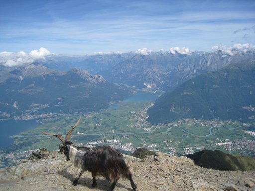 Monte Legnone - Via normale 4