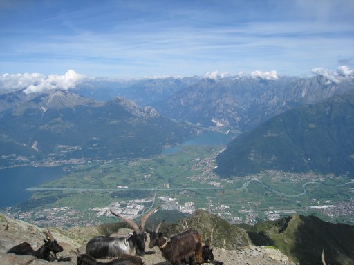 Monte Legnone - Via normale 5