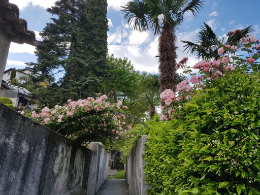 Lakeside walk from Musso to Cremia 4