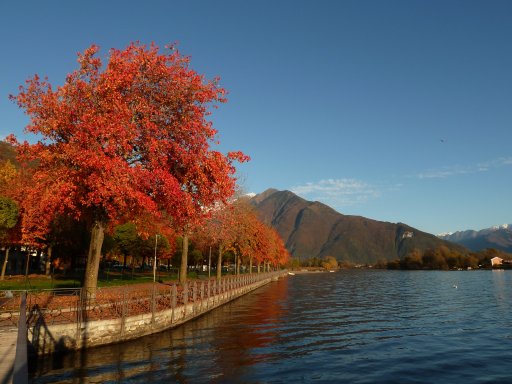 Lakeside walk from Sorico to Domaso 2