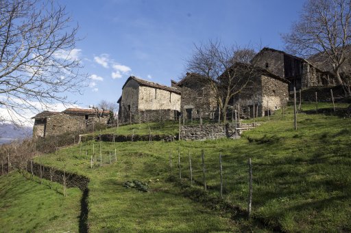 Dorio 6